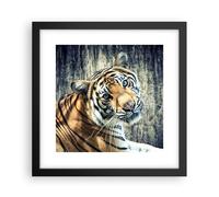 Cuadro Poster de Pared 30x30cm Póster Marco India piedra tigre salvaje Wall Art