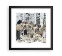 Cuadro Poster de Pared 30x30cm Póster Marco Manada Lobos Invierno Wall Art
