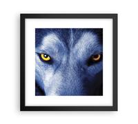 Cuadro Poster de Pared 30x30cm Póster Marco Mira El Lobo Ojos Wall Art Prints