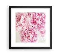 Cuadro Poster de Pared 30x30cm Póster Marco Paeonia Un ramo Flores Wall Art