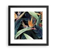 Cuadro Poster de Pared 30x30cm Póster Marco Planta Tropicales Flor Wall Art