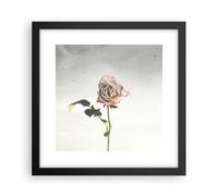 Cuadro Poster de Pared 30x30cm Póster Marco rosa pájaros cielo Wall Art Prints
