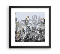 Cuadro Poster de Pared 30x30cm Póster Marco Selva Animales Tucanes Wall Art