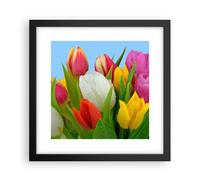 Cuadro Poster de Pared 30x30cm Póster Marco Tulipanes ramo flores rocío Wall Art