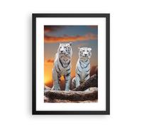 Cuadro Poster de Pared 30x40cm Marco Tigres blanco roca puesta del sol Wall Art