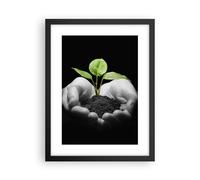 Cuadro Poster de Pared 30x40cm Naturaleza planta ciencia protección Wall Art