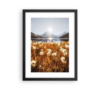 Cuadro Poster de Pared 30x40cm Póster Marco Dientes De León Sol Campo Wall Art