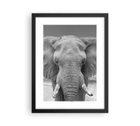 Cuadro Poster de Pared 30x40cm Póster Marco Elefante África Animales Wall Art