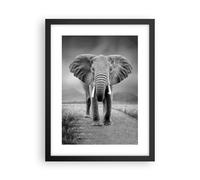 Cuadro Poster de Pared 30x40cm Póster Marco Elefante Salvaje Naturaleza Wall Art