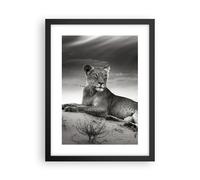 Cuadro Poster de Pared 30x40cm Póster Marco fauna femenino gato animal Wall Art
