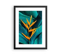 Cuadro Poster de Pared 30x40cm Póster Marco Flores Tropicales Hojas Wall Art