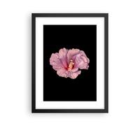 Cuadro Poster de Pared 30x40cm Póster Marco Hibisco Flor Rosa Wall Art Prints