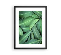 Cuadro Poster de Pared 30x40cm Póster Marco Hojas Eucalipto Naturaleza Wall Art