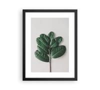 Cuadro Poster de Pared 30x40cm Póster Marco Hojas Planta Botánica Wall Art