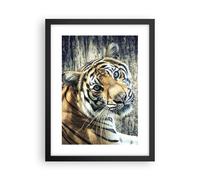 Cuadro Poster de Pared 30x40cm Póster Marco India piedra tigre salvaje Wall Art