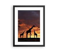Cuadro Poster de Pared 30x40cm Póster Marco Jirafa África Sol Safari Wall Art