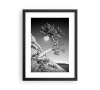 Cuadro Poster de Pared 30x40cm Póster Marco Llena La Luna Árbol Wall Art Prints