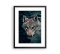 Cuadro Poster de Pared 30x40cm Póster Marco lobo bosque depredador Wall Art