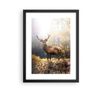 Cuadro Poster de Pared 30x40cm Póster Marco Luz Ciervo Bosque Wall Art Prints