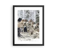 Cuadro Poster de Pared 30x40cm Póster Marco Manada Lobos Invierno Wall Art