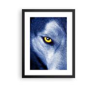 Cuadro Poster de Pared 30x40cm Póster Marco Mira El Lobo Ojos Wall Art Prints