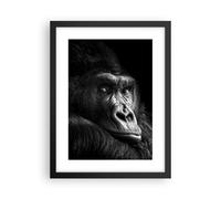 Cuadro Poster de Pared 30x40cm Póster Marco Mono Gorila Retrato Wall Art Prints