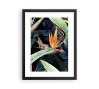 Cuadro Poster de Pared 30x40cm Póster Marco Planta Tropicales Flor Wall Art