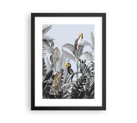 Cuadro Poster de Pared 30x40cm Póster Marco Selva Animales Tucanes Wall Art