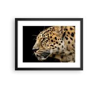Cuadro Poster de Pared 40x30cm Animales leopardo gato salvaje animales salvajes
