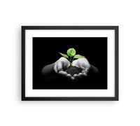 Cuadro Poster de Pared 40x30cm Marco Naturaleza planta ciencia protección Art