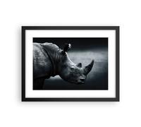 Cuadro Poster de Pared 40x30cm Marco Rinoceronte Blanco Y Negro Retrato Art