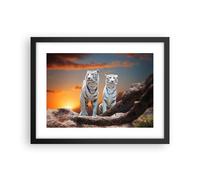 Cuadro Poster de Pared 40x30cm Marco Tigres blanco roca puesta del sol Art