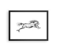 Cuadro Poster de Pared 40x30cm Póster Marco Caballo Dibujo Lápiz Wall Art Prints