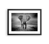 Cuadro Poster de Pared 40x30cm Póster Marco Elefante Salvaje Naturaleza Wall Art