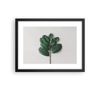 Cuadro Poster de Pared 40x30cm Póster Marco Hojas Planta Botánica Wall Art