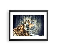 Cuadro Poster de Pared 40x30cm Póster Marco India piedra tigre salvaje Wall Art
