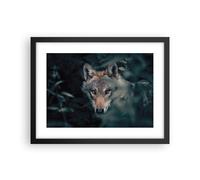 Cuadro Poster de Pared 40x30cm Póster Marco lobo bosque depredador Wall Art