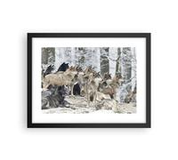 Cuadro Poster de Pared 40x30cm Póster Marco Manada Lobos Invierno Wall Art