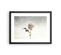 Cuadro Poster de Pared 40x30cm Póster Marco rosa pájaros cielo Wall Art Prints