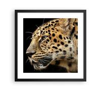 Cuadro Poster de Pared 40x40cm Animales leopardo gato salvaje animales salvajes