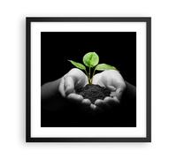 Cuadro Poster de Pared 40x40cm Marco Naturaleza planta ciencia protección Art