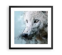 Cuadro Poster de Pared 40x40cm Póster Marco Blanco El Lobo Imagen Wall Art