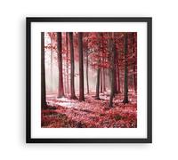Cuadro Poster de Pared 40x40cm Póster Marco bosque rojo árboles Wall Art Prints