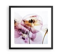 Cuadro Poster de Pared 40x40cm Póster Marco flor verano naturaleza Wall Art