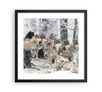 Cuadro Poster de Pared 40x40cm Póster Marco Manada Lobos Invierno Wall Art