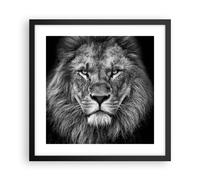 Cuadro Poster de Pared 40x40cm Póster Marco Retrato León Blanco Y Negro Wall Art