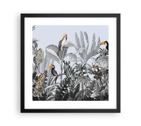 Cuadro Poster de Pared 40x40cm Póster Marco Selva Animales Tucanes Wall Art