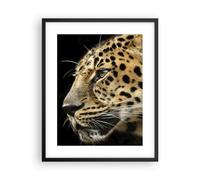 Cuadro Poster de Pared 40x50cm Animales leopardo gato salvaje animales salvajes
