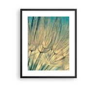 Cuadro Poster de Pared 40x50cm Diente De León Macro Diente De León Wall Art