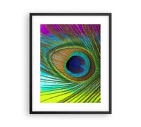 Cuadro Poster de Pared 40x50cm Marco Pavos Reales Pluma Arco Iris Wall Art